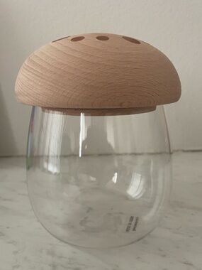 EARTHBOUND Glass Jar with Natural Wood Mushroom Lid